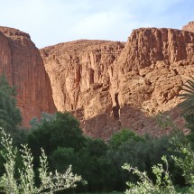 Thanks to the Todra river Toudgha El Oulia is very green - entrance of Todra Gorge